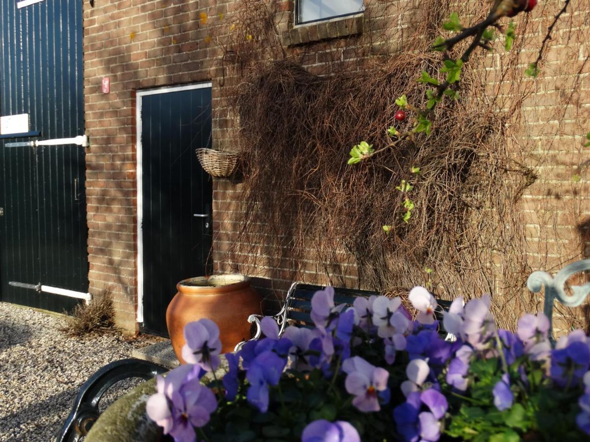 B&B Droom In De Polder -De Salon- Luxe Appartement Met Prive-Sauna Arnemuiden Esterno foto